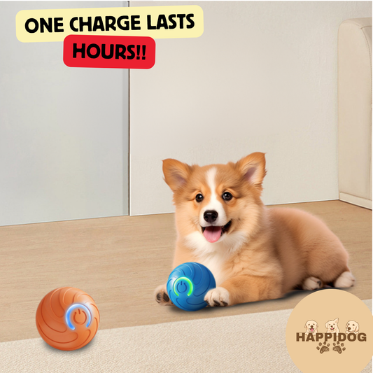HappiDogs New Electric Ball