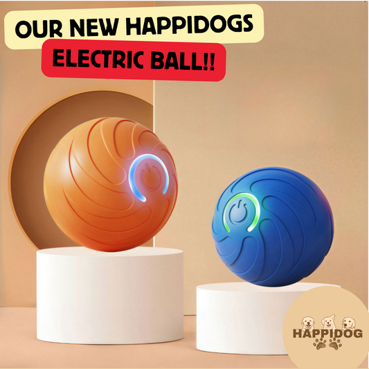 HappiDogs New Electric Ball